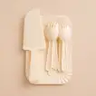 Eco-Friendly Disposable Plastic Cutlery and Paper Plates Set for Parties