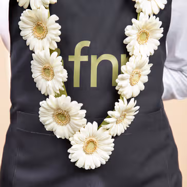 Elegant White Gerbera Flower Garland with Ribbons