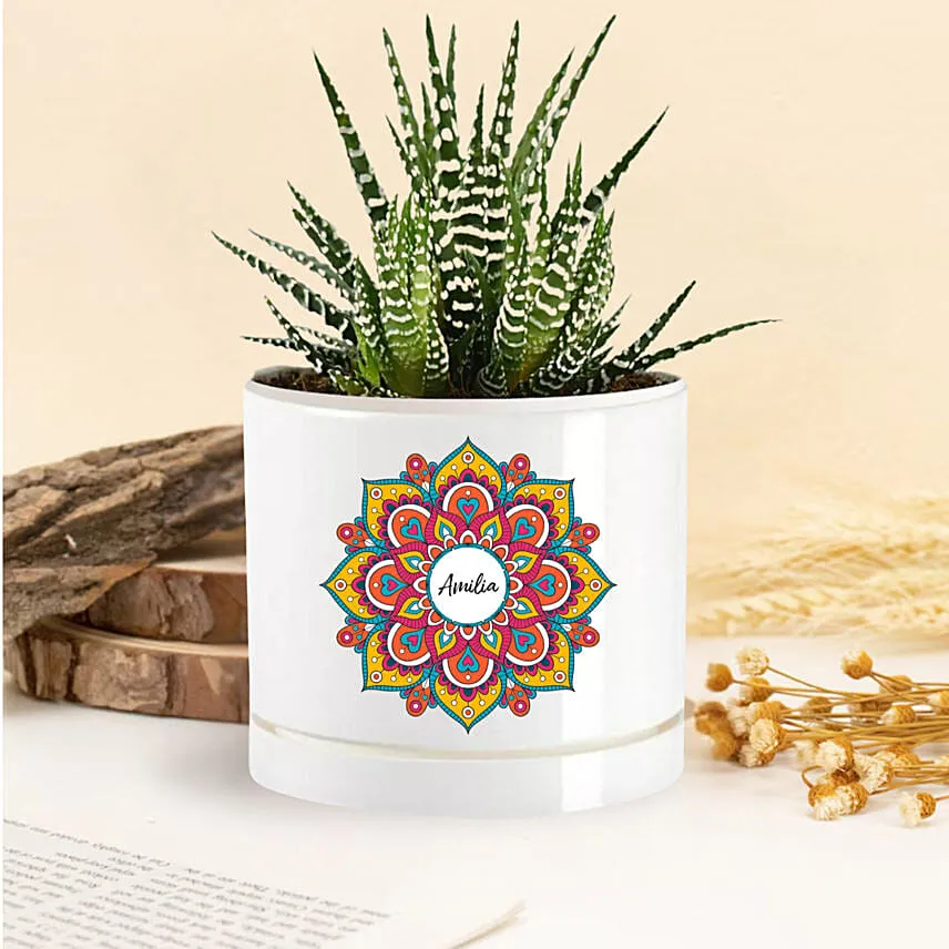 Personlized Haworthia Plant