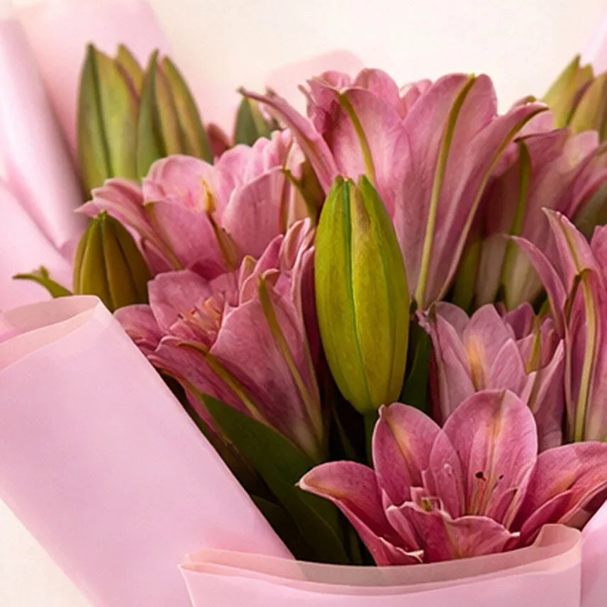 6 Passionate Oriental Pink Lilies