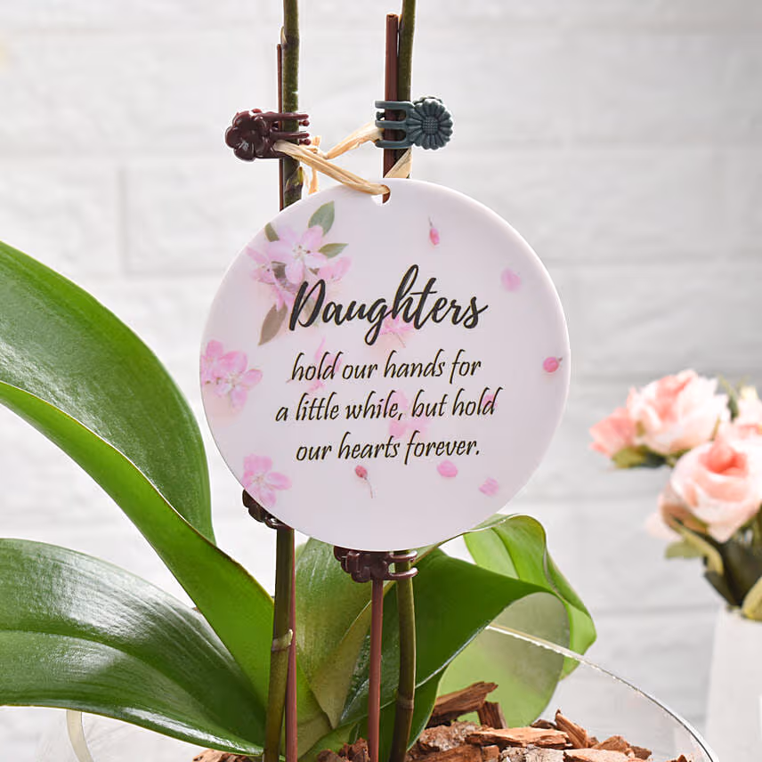 Love For Daughter Orchid Plant Arrangement