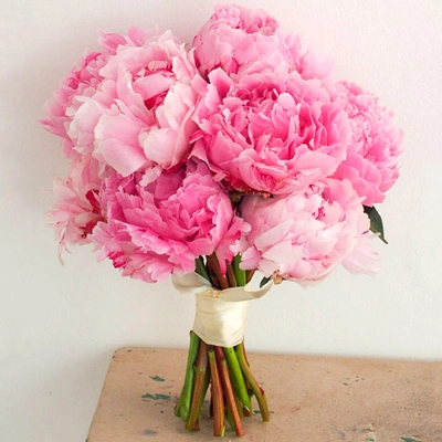 Hand Tied Peonies