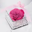 Elegant Pink Infinite Love Cube Box with Forever Rose