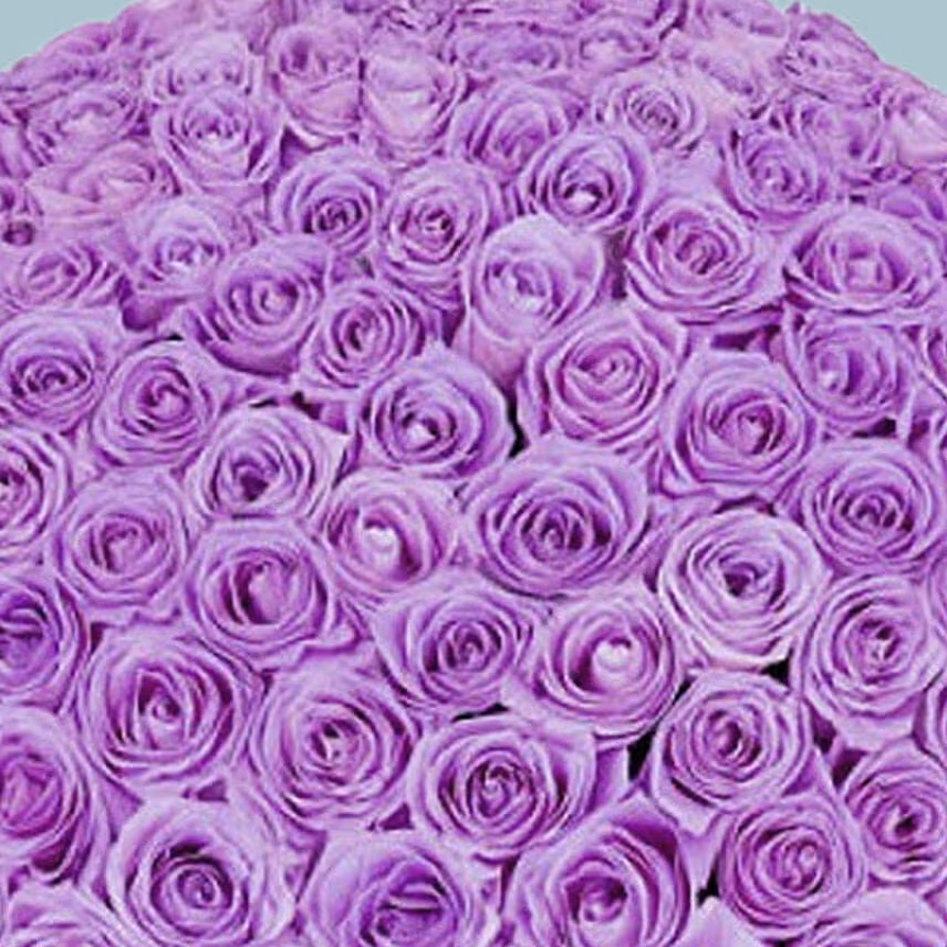 99 Purple Roses Bouquet For Valentine