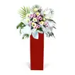 Gerberas Purple Pom In Beautiful Red Stand