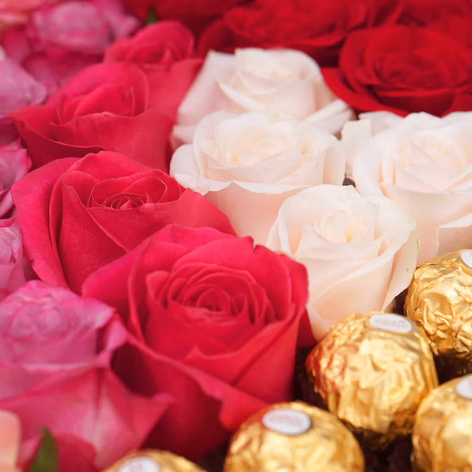 Glorious Mixed Roses & Ferrero Rocher Box