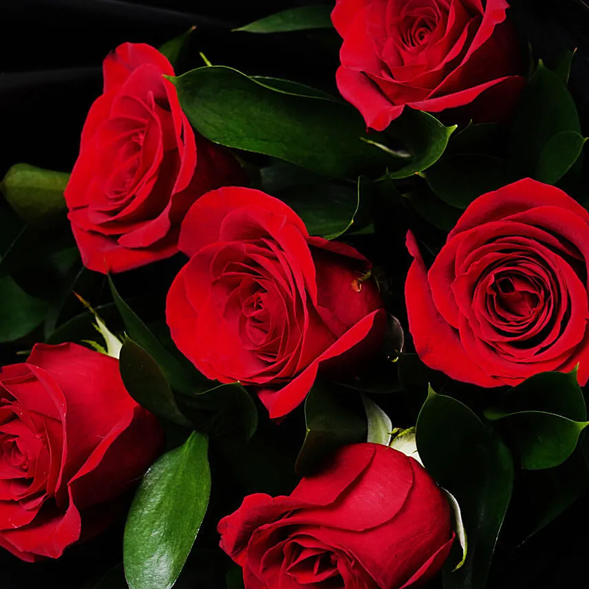 Blush Of Love  6 Stems