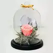 Elegant Pink Forever Rose in Glass Dome - Perfect Gift for Any Occasion