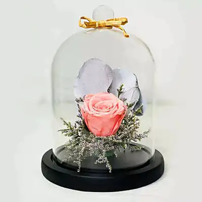Elegant Pink Forever Rose in Glass Dome - Perfect Gift for Any Occasion