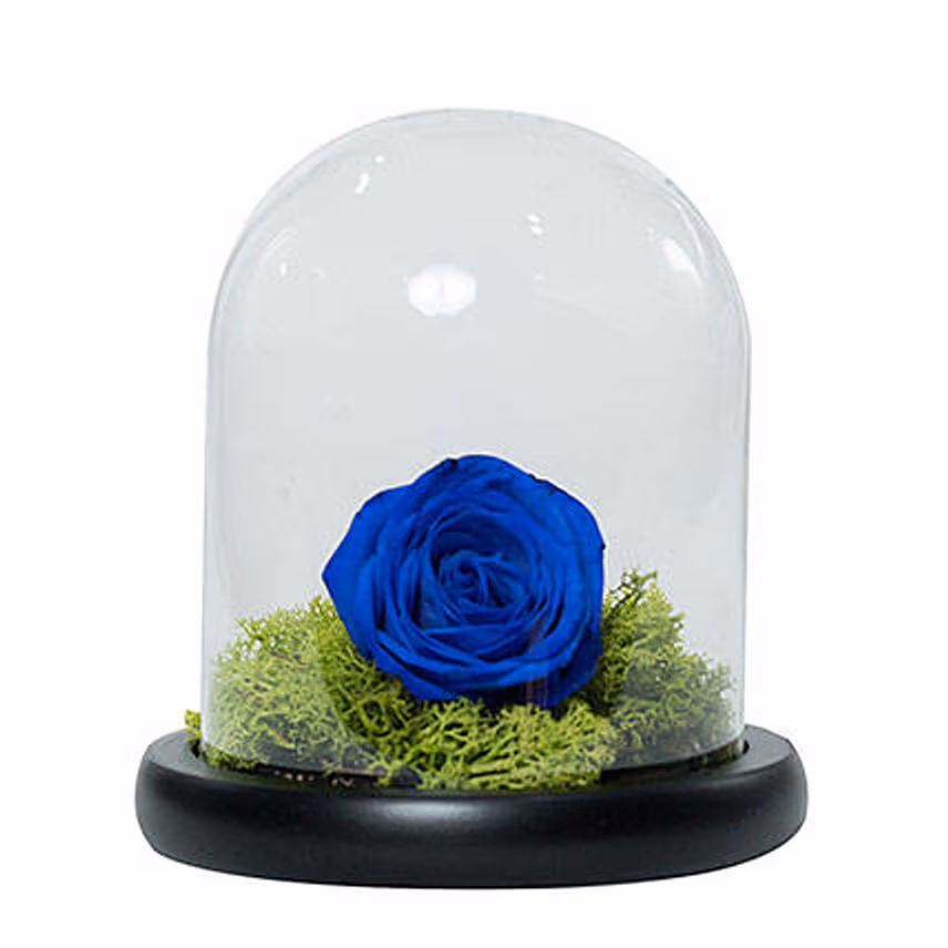 Chocolate Cake & Forever Rose In Glass Dome- Blue