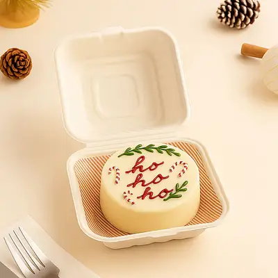 Holiday Cheer Bento Cake