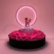 Romantic Pink Roses with LED Couple Lamp Gift Set