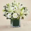 Beautiful White Flowers Vase