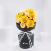 Peachy Gerbera Delight Bouquet | Perfect Graduation Gift