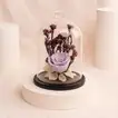 Nostalgia | Purple Forever Roses