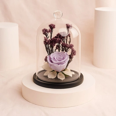 Nostalgia | Purple Forever Roses