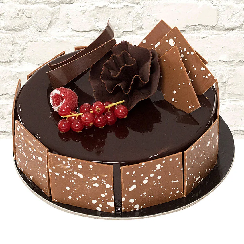 Aloe Vera Plant with Fudge Cake