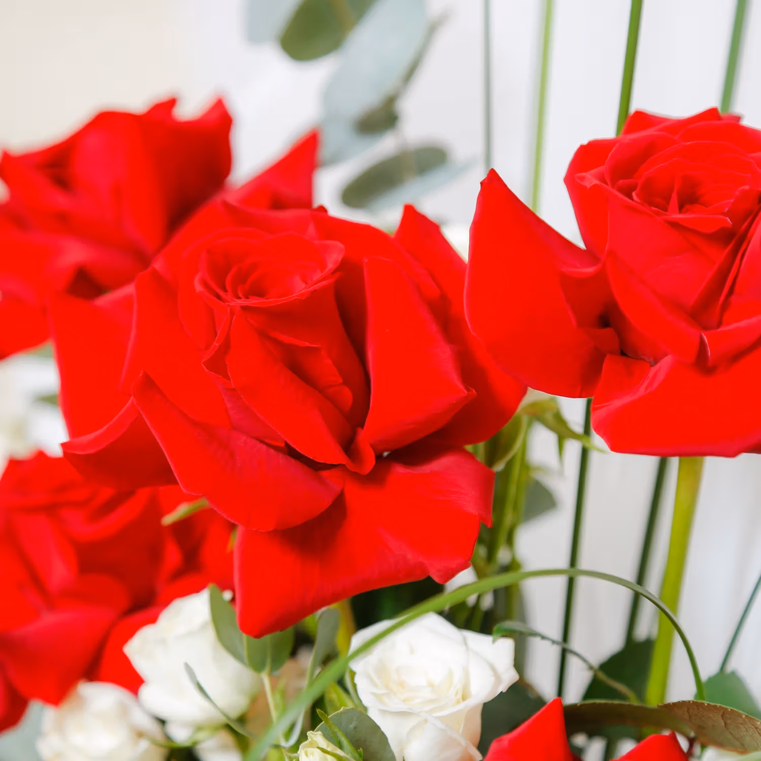 Simply Red Roses Bouquet for Mom