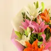 7 Attractive Mixed Asiatic Lilies Bunch
