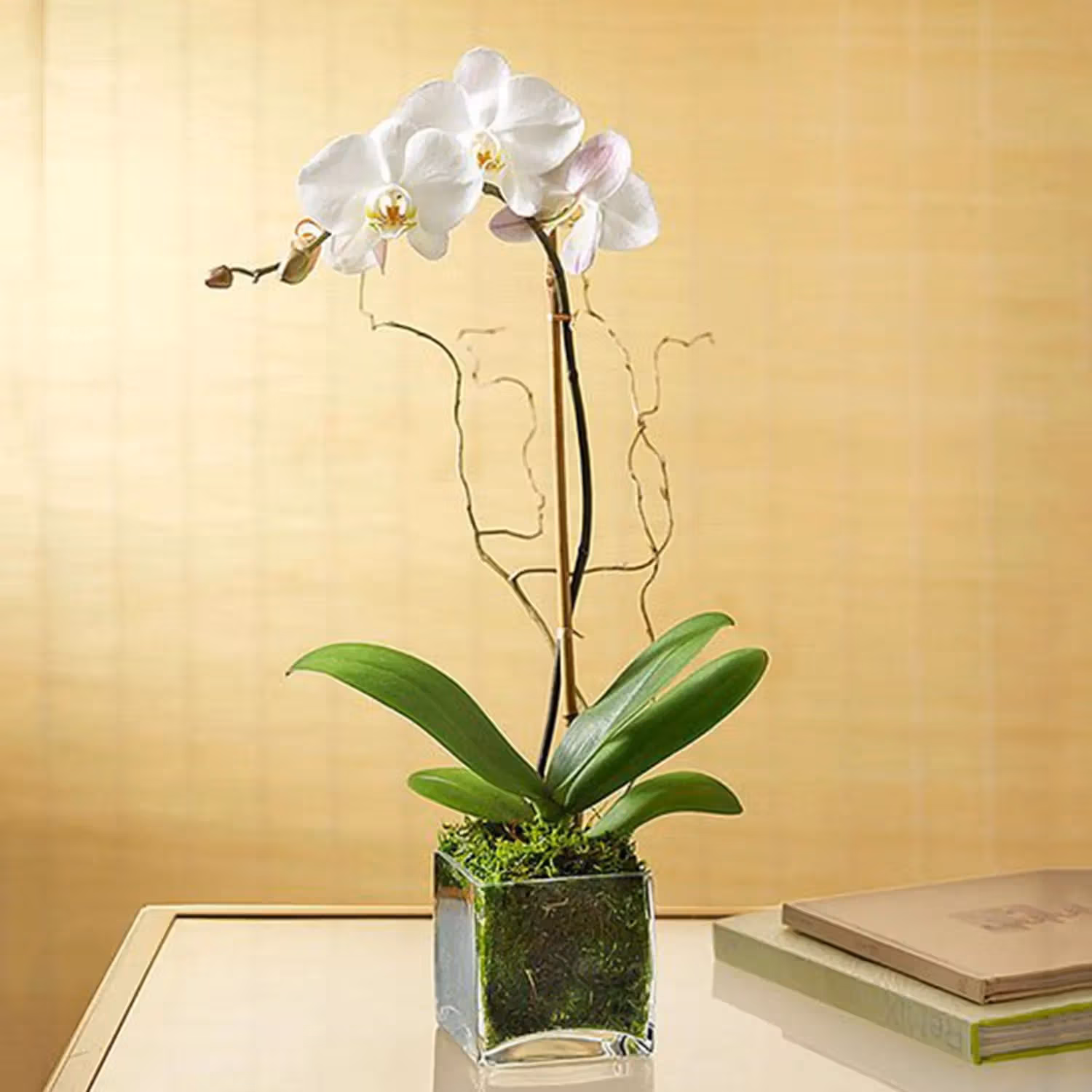 Elegant White Orchid in Glass Vase with Ramadan Kareem Topper