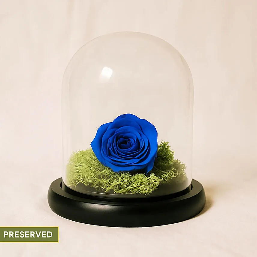 Elegant Blue Rose