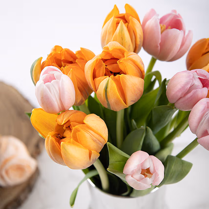 Vibrant Tulip