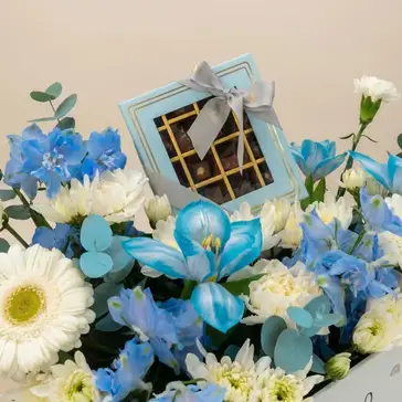 Welcome Little One: Blue & White Floral Delight with Chocolates