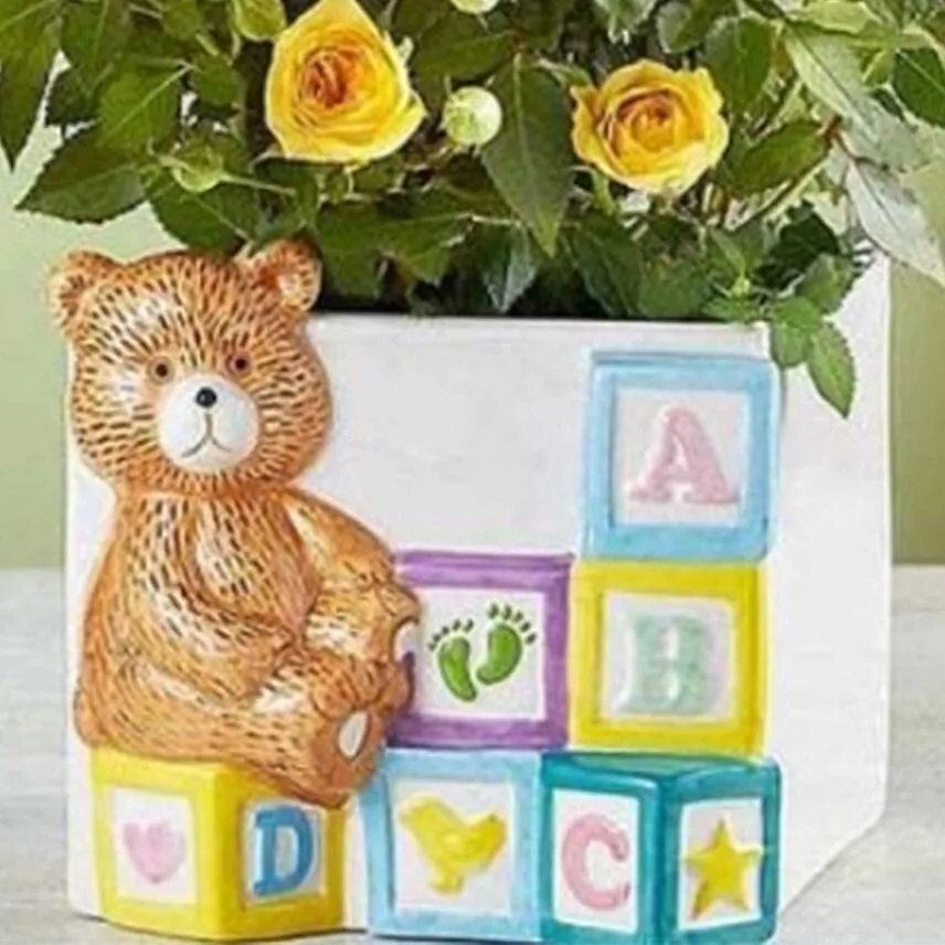 Baby Blocks Playtime Roses