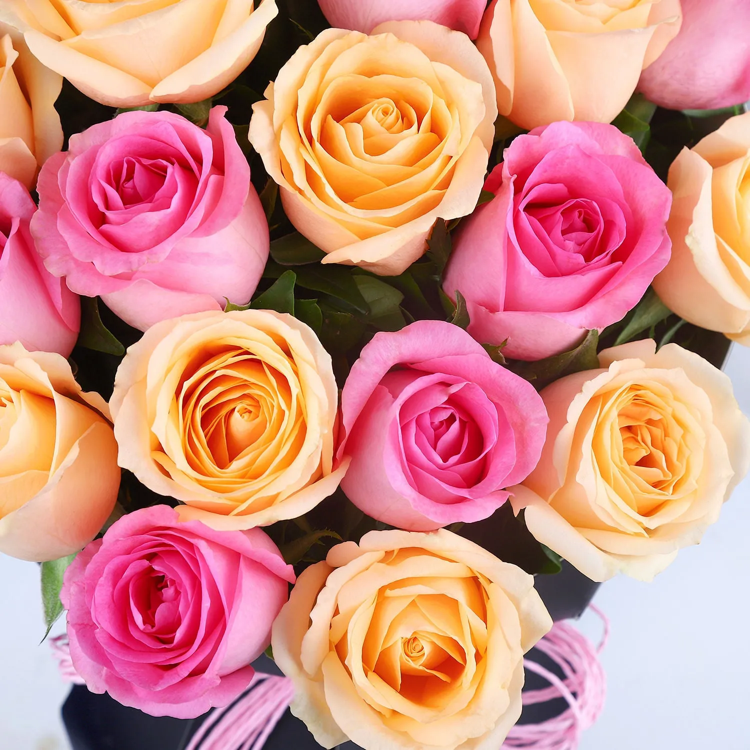 Blushing Rose Love Elegance for Graduation Day Celebration