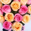 Blushing Rose Love Elegance for Graduation Day Celebration