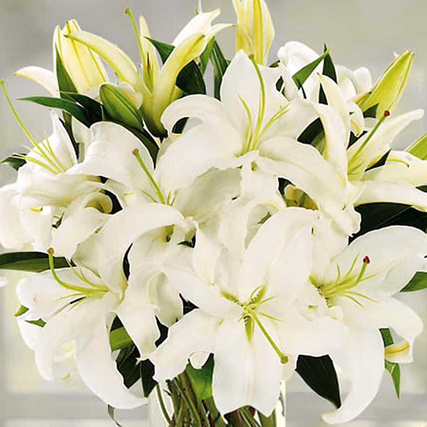 Serene Arranagement Of White Lilies With Chocolate Cake