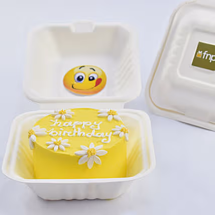 Sweet Embrace Chocolate Bento Cake - Perfect for Celebrations
