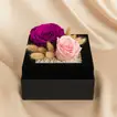 Luxurious Serenity Rose Arrangement in Elegant Black Box