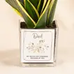 Father's Day Special: Evergreen Sansevieria with Elegant Glass Vase