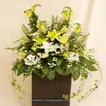 Floral Calmness