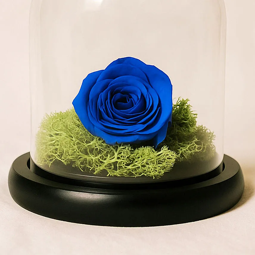 Elegant Blue Rose