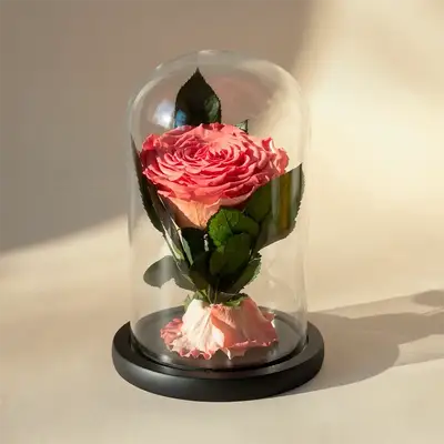 Eternal Elegance: Pink Preserved Rose in Glass Dome