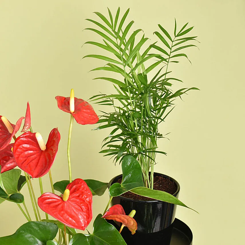 Natures Elegance Plant Stand