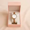 Titan Raga Showstopper Watch For Women n Roses 