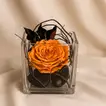 Elegant Fiery Orange Rose in a Glass Vase - Forever Garden Collection
