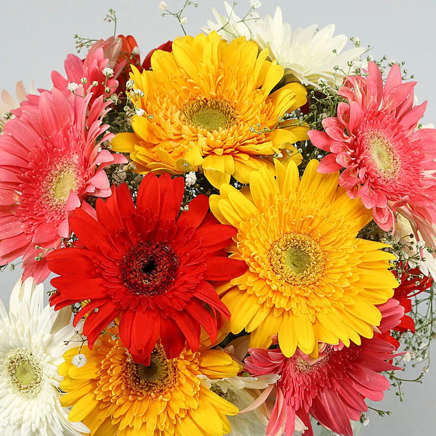 4 Classy Mix Of Gerbera Blossoms