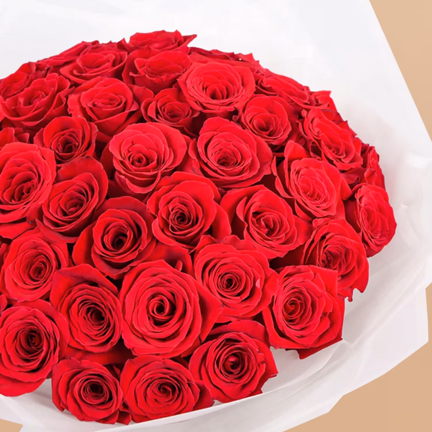 Passion's Embrace: Luxurious 50 Red Roses Bouquet