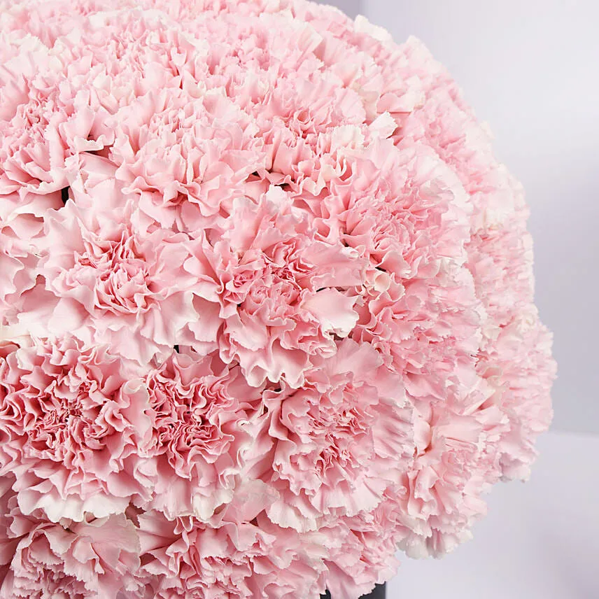 Pink Carnations Luxe Arrangement