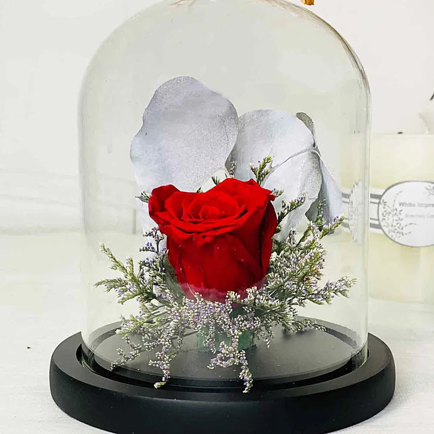 Red Forever Rose In Glass Dome with Teddy for Valentines