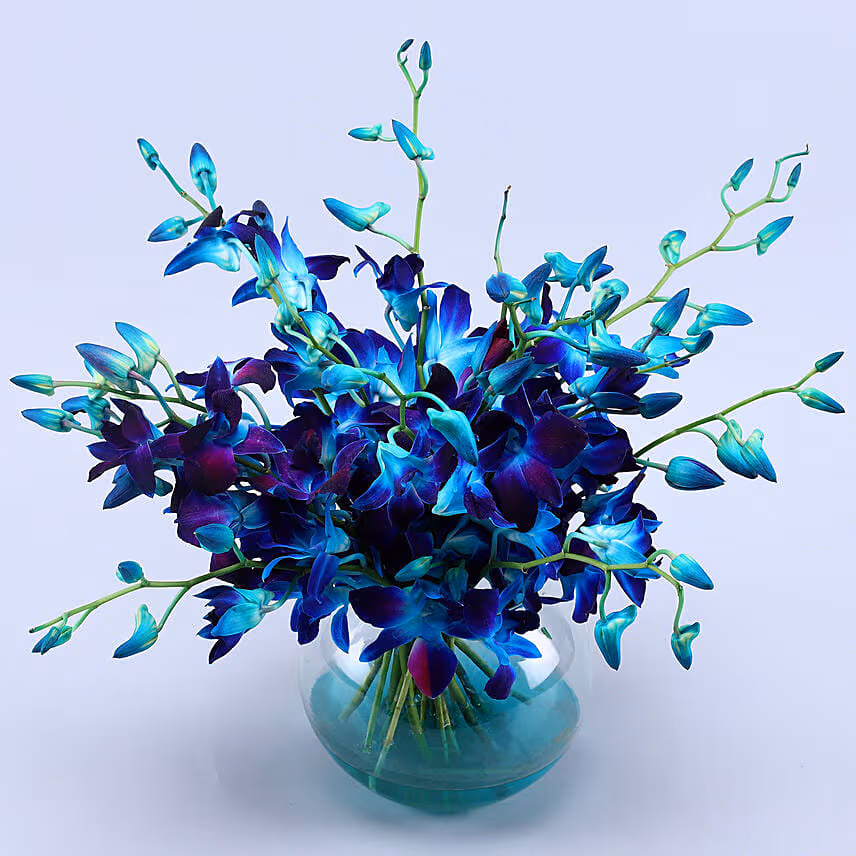 Beautiful Orchids Glass Vase Arrangement