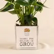 Heartfelt Gratitude: White Anthurium in Elegant Glass Vase for Dad