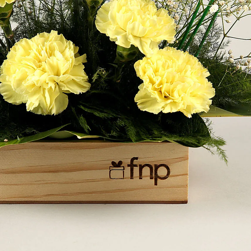 Brighter Than Sunshine Carnations Arrangement