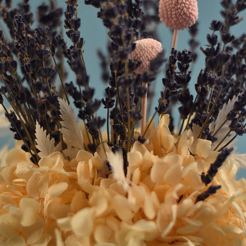 Preserved Glory Peachy Vase