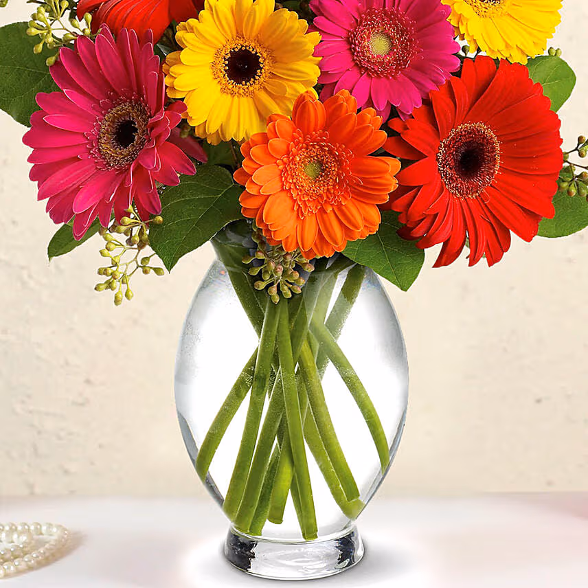 Heavenly Multicoloured Gerberas With Chocolate Cake