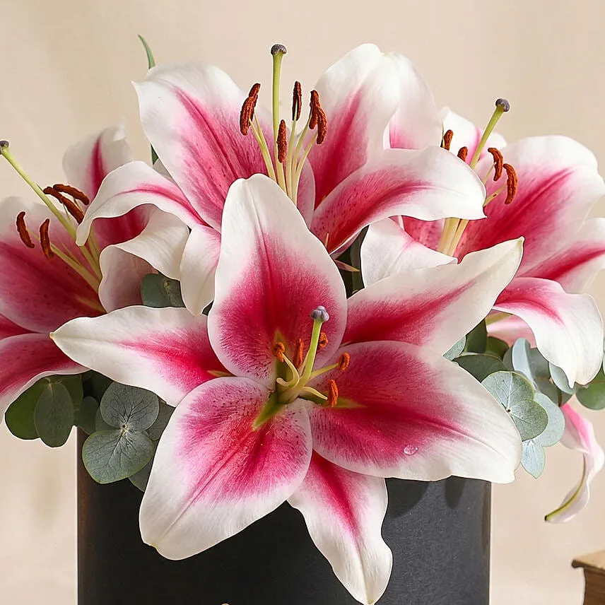 Pretty Pink Lilies